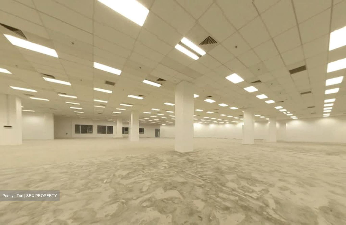 Techview (D14), Factory #557825831